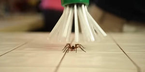 Insect Catcher