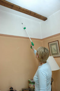 Insect Catcher