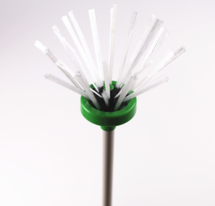 Insect Catcher