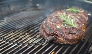 Fully Wireless Meat Thermometer