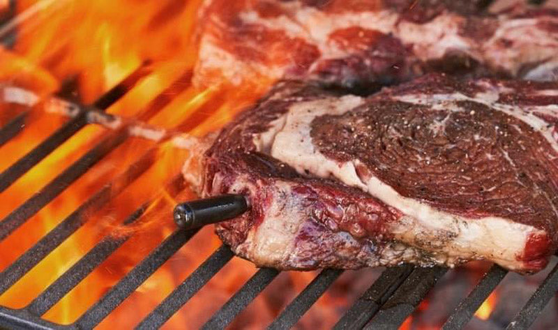Fully Wireless Meat Thermometer